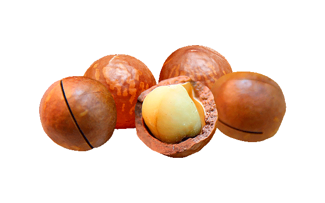 macadamianpähkinät